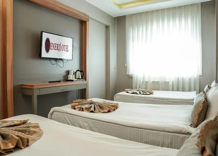 Enerji Hotel 3*